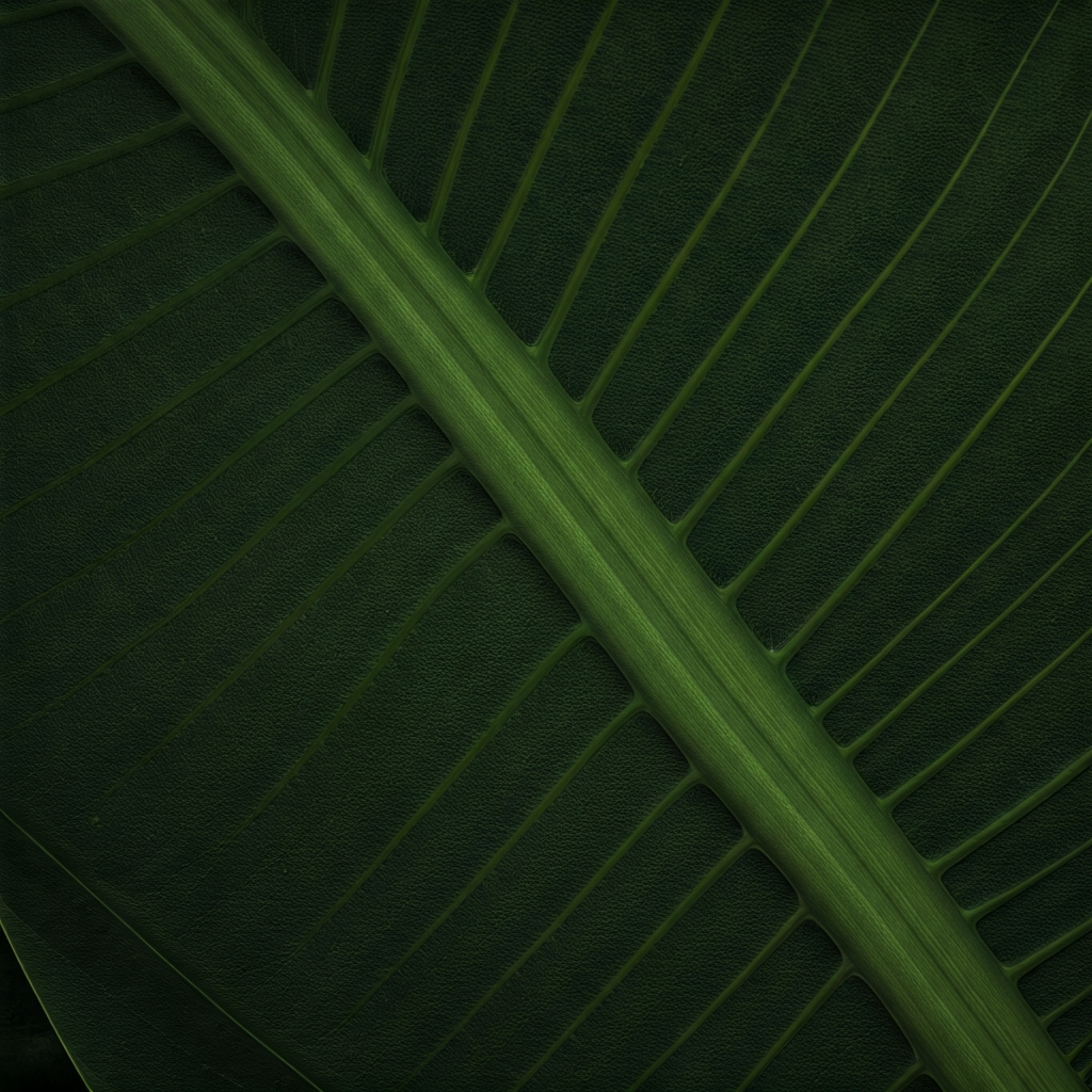 복지로 모의계산 전에 준비할 것