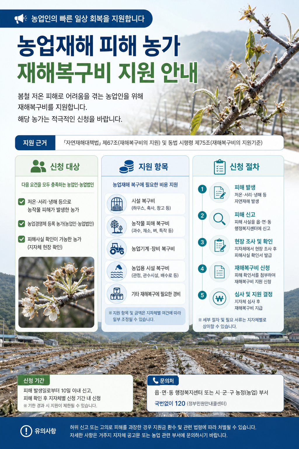 저온 피해 농가 재해복구비 지원 안내 인포그래픽